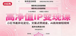 高净值IP变现课：小红书差异化定位，文案点赞成金， AI高效做短视频-轻创网