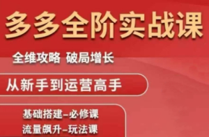 大炮·拼多多全阶实战课程(更新10月)-轻创网