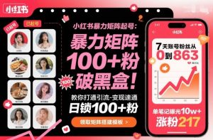 小红书暴力矩阵起号，教你打通引流-变现速通，日锁100+粉，破流量黑盒-轻创网