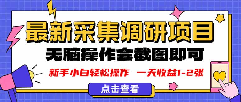 新版采集调研项目，截图上传即可，无脑操作，日收益1-2张-轻创网