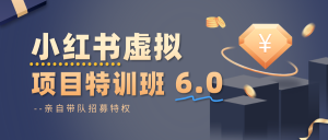 小红书虚拟项目特训班6.0 ,养号/选品/自动发货/爆款笔记(含40节视频课)-轻创网