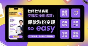 教师教辅赛道变现实操训练营，爆款涨粉变现so easy-轻创网
