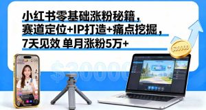 小红书零基础涨粉秘籍，赛道定位+IP打造+痛点挖掘，7天见效 单月涨粉5万+-轻创网