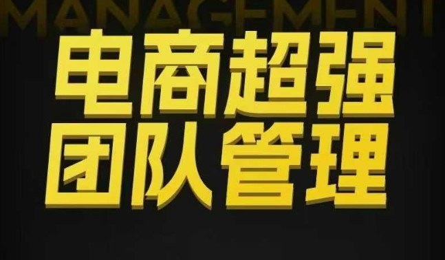 电商超强团队管理，组织绩效，到用人执行，分权合伙-轻创网