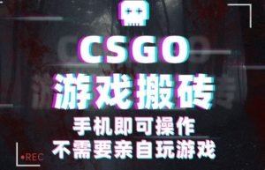 CSGO游戏挂G捡漏，单日扫货5张+，年底小高峰上车可吃肉，手机即可操作，兼职副业创业网创【揭秘】-轻创网