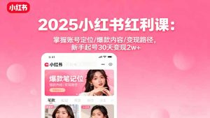 2025小红书红利课：掌握账号定位/爆款内容/变现路径，新手起号30天变现2w+-轻创网
