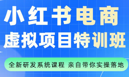 陆明明·小红书虚拟项目特训班(更新9月)-轻创网
