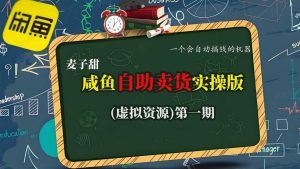 麦子甜咸鱼自助卖货实操版(虚拟资源)一个会自动搞钱的机器-轻创网
