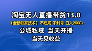 淘宝无人直播13.0,公域私域技术,不封号,不违规 布局下半年旺季赛道,日入2000+-轻创网