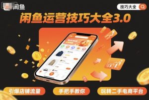 闲鱼运营技巧大全3.0，引爆店铺流量，手把手教你玩转二手电商平台-轻创网