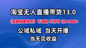 淘宝无人直播13.0，公域私域技术，不封号，不违规布局下半年旺季赛道，日入1K+(独家技术)【揭秘】-轻创网