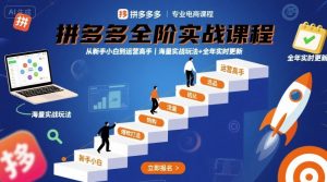 拼多多全阶实战课程,从新手小白到运营高手,海量实战玩法+全年实时更新【2025年10月更新】-轻创网