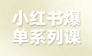 小红书爆单系列课，聚焦小红书电商全链路增长-轻创网