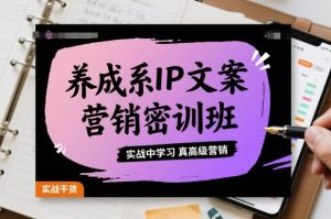 养成系IP文案营销密训班，实战中学习真高级营销-轻创网