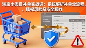 淘宝小类目补单实战课：系统解析补单全流程、降权风险及安全操作-轻创网