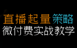 半野老师·直播带货起量与微付费必学课视频号-轻创网