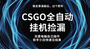 【稳定副业】全球最热门游戏CSGO全自动捡漏，最新玩法，新手小白日入5张+【揭秘】-轻创网