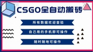 CSGO全自动搬砖，年底钱回家好项目，当天可拿到结果，新手小白轻松月入1W+【揭秘】-轻创网