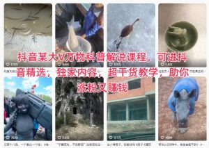 抖音某大V万物科普解说课程，可进抖音精选，独家内容，超干货教学，助你涨粉又賺钱-轻创网