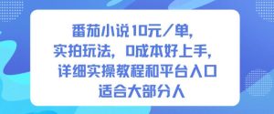 番茄小说10米每单，实拍玩法，0成本好上手，详细实操教程和平台入口适合大部分人-轻创网