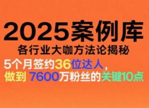 2025案例库，收录各行业大咖的方法论，各行业大咖方法论揭秘-轻创网