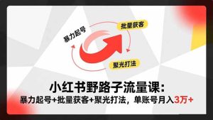 小红书野路子流量课：暴力起号+批量获客+聚光打法，单账号月入3万+-轻创网