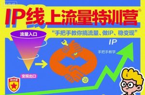 IP线上流量特训营,手把手教你搞流量、做IP、稳变现-轻创网