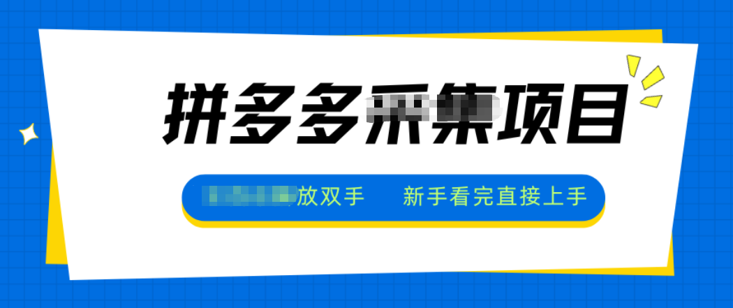 拼多多电商采集，一小时50+，操作简单，零投资-轻创网