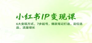 小红书IP变现课：6大变现方式，7步起号，爆款笔记打造，定位选品，流量增长-轻创网