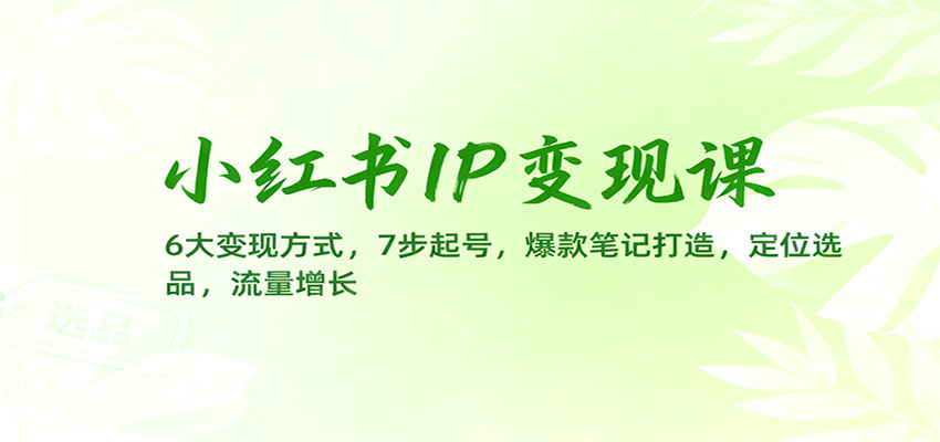 小红书IP变现课:6大变现方式,7步起号,爆款笔记打造,定位选品,流量增长-轻创网