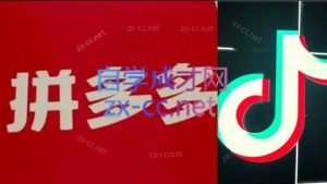 老陶电商·拼多多+抖音小店无货源开店(更新11月)-轻创网