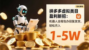 拼多多虚拟类目盈利新招：机器人全程包办回复发货，轻松月入 1-5W-轻创网