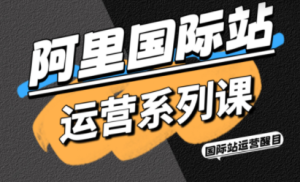 醒目老师·阿里国际站运营系列课(更新11月)-轻创网