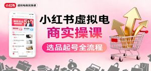 小红书虚拟电商实操课:选品起号+AI 内容创作+店铺运营+引流私域+自动化发笔记-轻创网