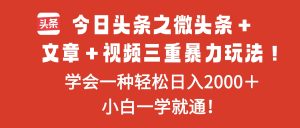 今日头条之微头条＋文章＋视频三重暴力玩法，学会一种轻松日入2000＋，...-轻创网