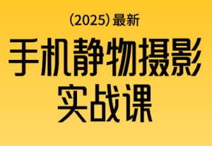 金老师·2025爆款手机静物摄影实战课-轻创网