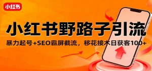 小红书野路子引流，暴力起号+SEO霸屏截流，移花接木日获客100+-轻创网