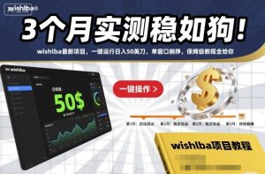 3个月实测稳如狗!wishlba最新项目,一键运行日入50美刀,单窗口躺挣,保姆级教程全给你【揭秘】-轻创网