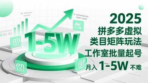 2025 拼多多虚拟类目矩阵玩法,工作室批量起号,月入 1-5W 不难-轻创网