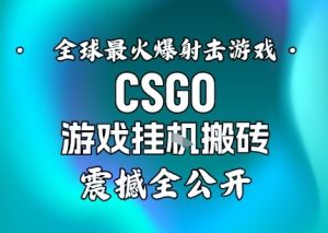 【年底大揭秘】基于全球最火爆的射击CSGO游戏挂G搬砖，日入5张+，震撼公开-轻创网
