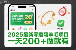 2025最新零撸薅羊毛项目，纯手机操作，20秒一单，无任何门槛，一天200+做就有【揭秘】-轻创网