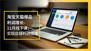 淘宝天猫爆品利润增长-11月线下课,免费流量、付费放大、费比管控,实现店铺利润倍增-轻创网