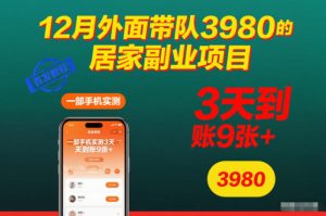 12月外面带队3980的居家副业项目,一部手机实测3天到账9张+,首发教程【揭秘】-轻创网