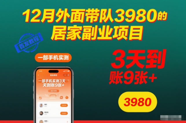 12月外面带队3980的居家副业项目，一部手机实测3天到账9张+，首发教程【揭秘】-轻创网