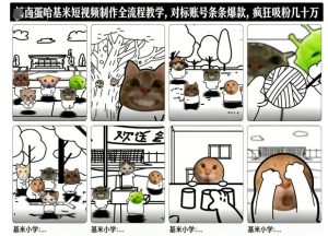 卤蛋哈基米短视频制作全流程教学，条条爆款，疯狂吸粉几十万-轻创网