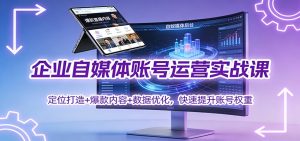企业自媒体账号运营实战课:定位打造+ 爆款内容+数据优化,快速提升账号权重-轻创网