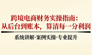 2025跨境电商财务实操指南-轻创网