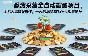 番茄采集全自动掘金项目，手机无脑挂G操作，一天保底收益18+可批量多开【揭秘】-轻创网