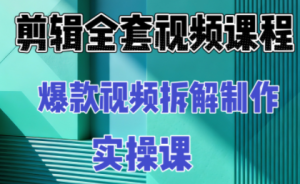 冰糖老师·AI视频制作实操课程(更新11月)-轻创网