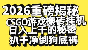 2026开年重磅解密，CSGO游戏搬砖挂G日入1k+的秘密，把倒狗的底裤扒干【揭秘】-轻创网